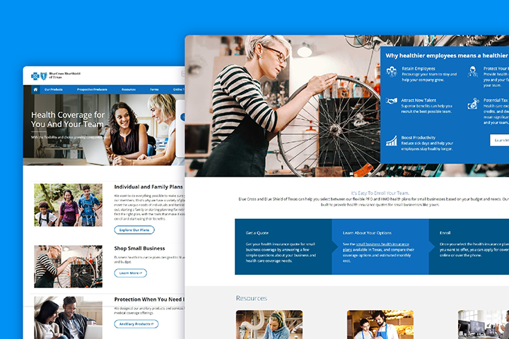Blue Cross Blue Shield
